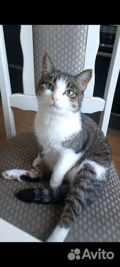 Милая толстушка Тея 1 год