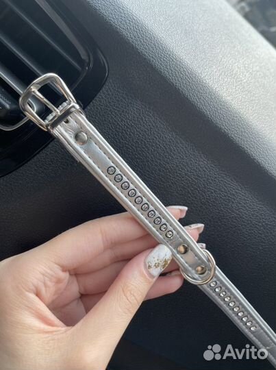 Ошейник для собак и кошек