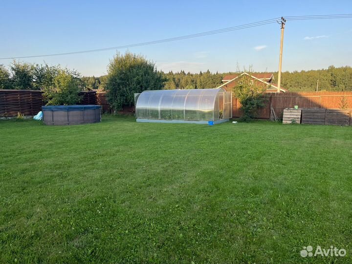 Огурцы свежие домашние