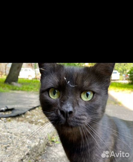 Вдруг и ей повезет