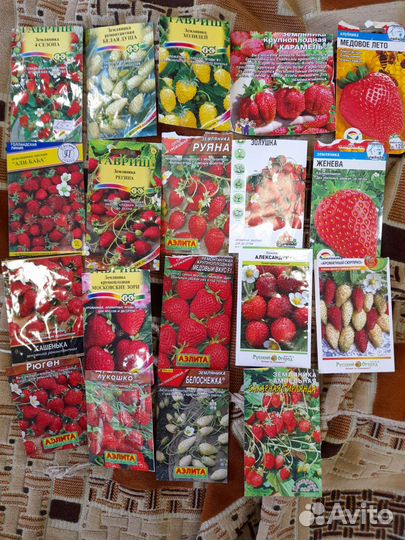 Земляника садовая саженцы