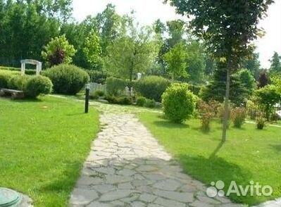 Продажа Рулонного газона