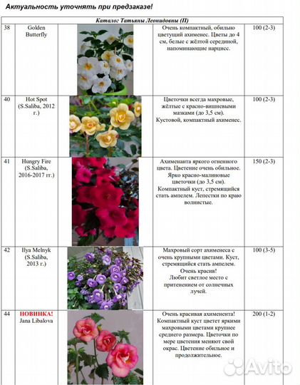 Ахименесы 87 сортов