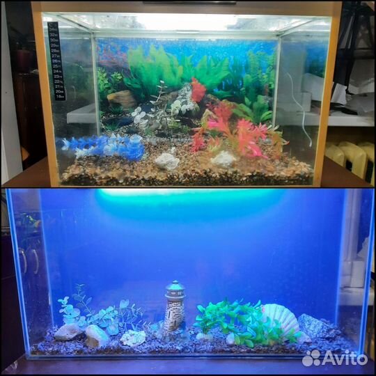 Аквариум