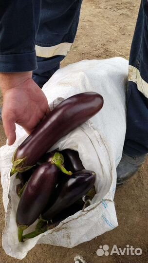 Баклажаны и перец