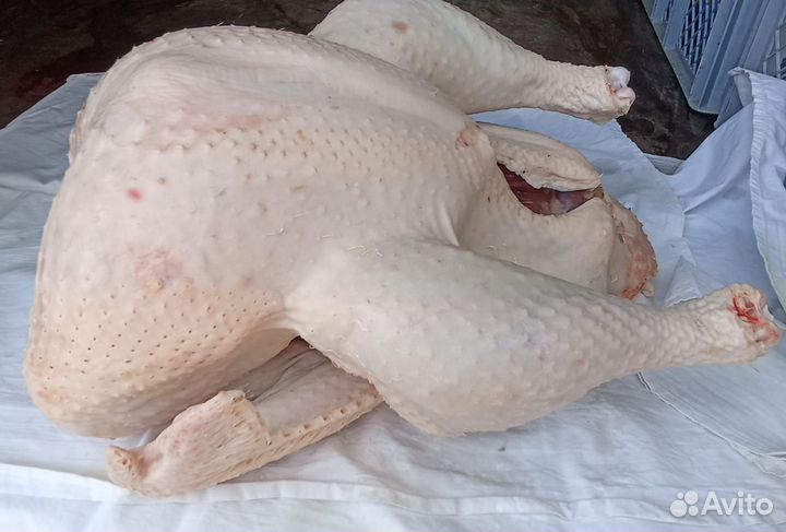 Мясо индейки