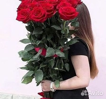 Высокие Розы с Доставкой