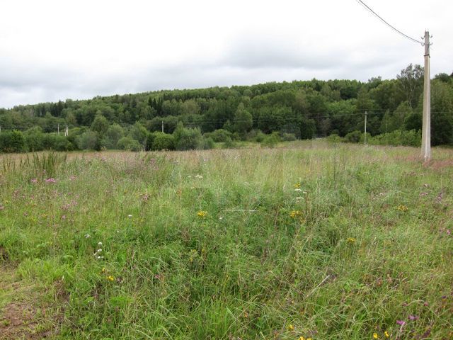 Участок 15 сот. (СНТ, ДНП)