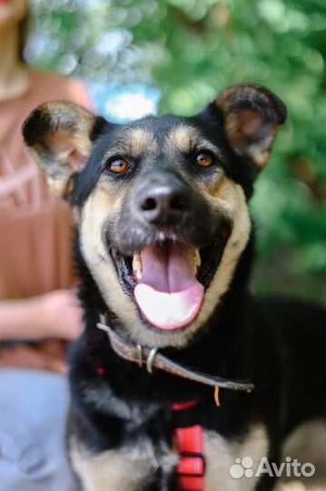 Жизнерадостная Рут ищет дом