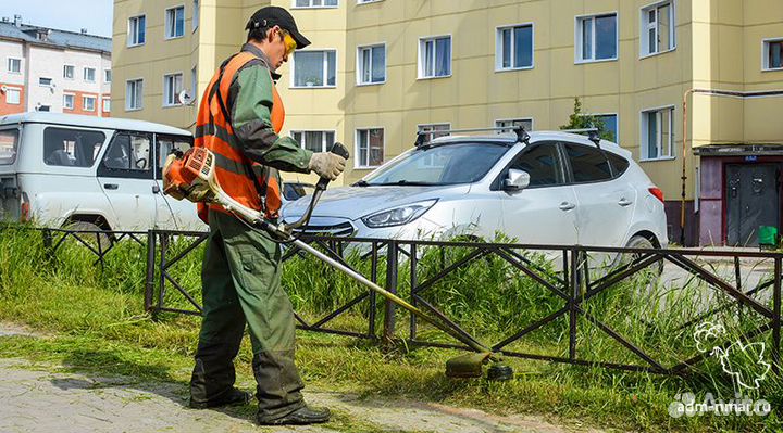 Услуги покос травы триммером