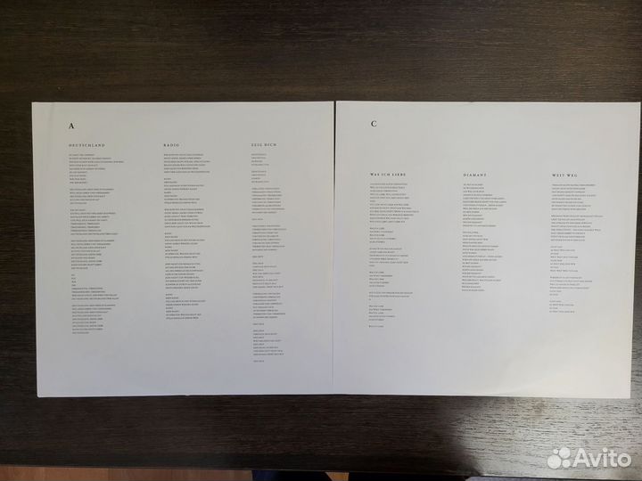 Rammstein - Rammstein - винил - 2 LP