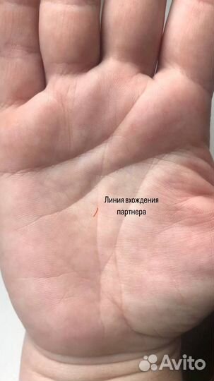 Хиромант,таро,нумеролог,обучение