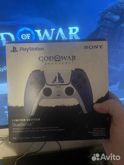 Ps 5 Рос тест