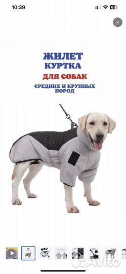 Куртка для средних собак