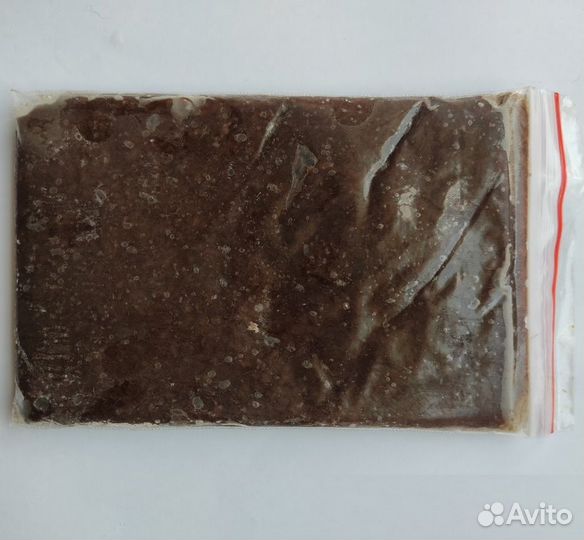 Артемия рачок замороженная корм для рыб