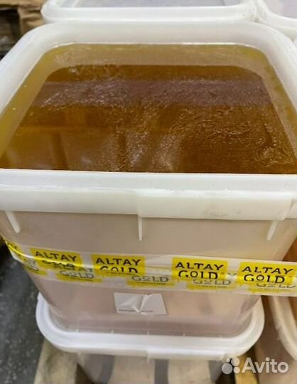 Свежий мед оптом светлое разнотравье