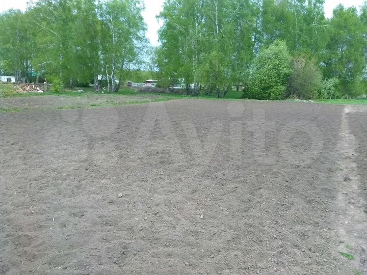 Дом 97,6 м² на участке 12 сот.