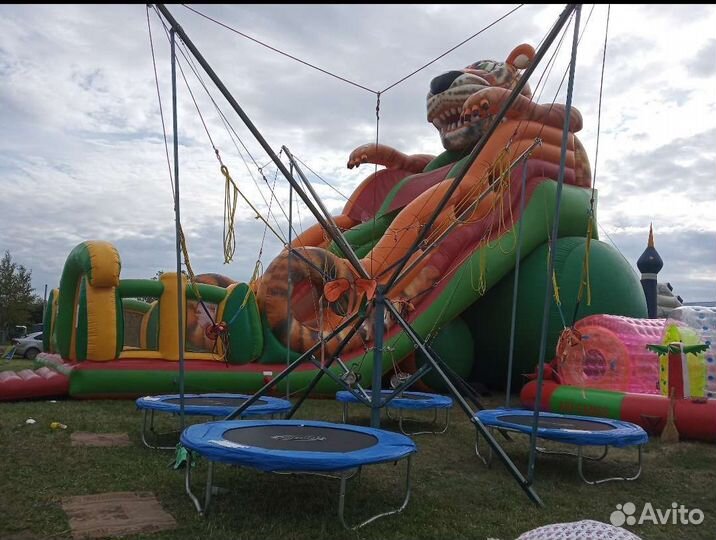 Аттракционы на праздник