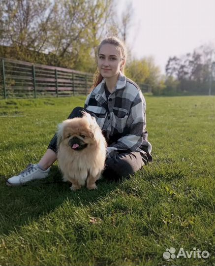 Репетитор по Английскому языку для взрослых