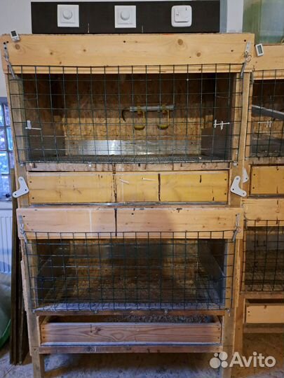 Клетки для кур, перепелов, брудер для цыплят