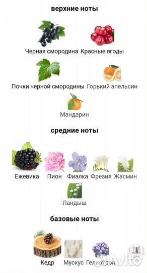 Gucci Eau de Parfum II edp, выпуск из первых