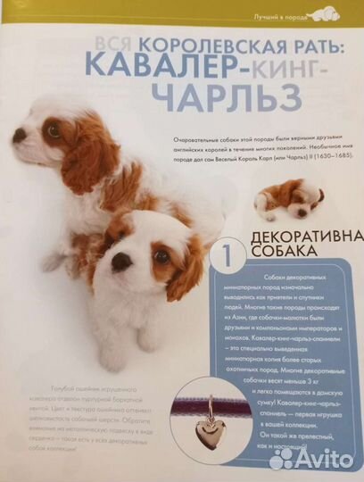 Детские журналы. The dog collection