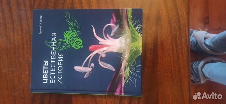 Книги нон фикшн