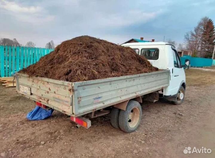 Перегной навоз продажа