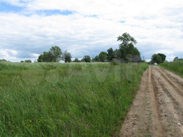 Участок 1,21 га (СНТ, ДНП)