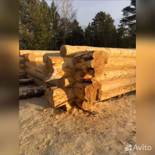 Сруб дома из бревна