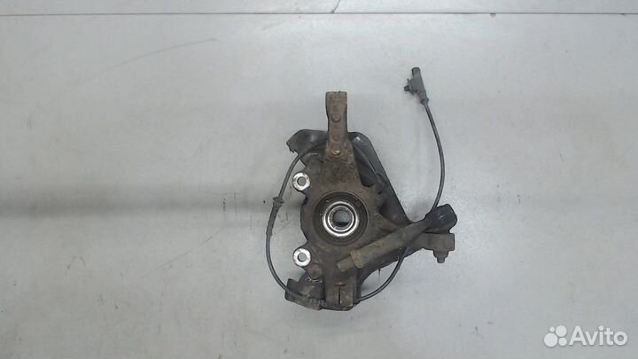 Ступица (кулак, цапфа) Fiat Punto Evo, 2011