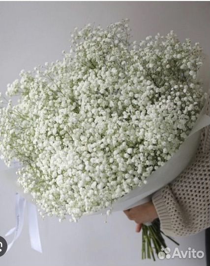 Гипсофила букет цветы