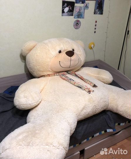 Большие плюшевые медведи