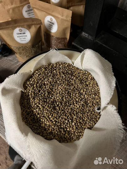 Конопляное масло холодного отжима