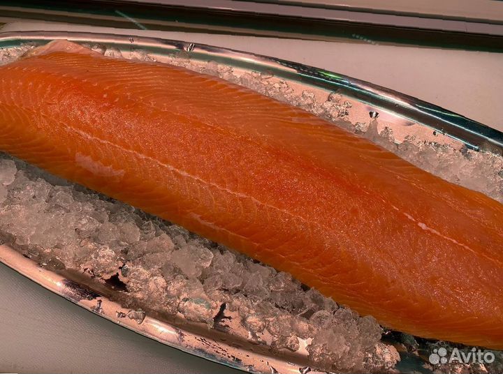 Лосось филе слабосолённый. Опт