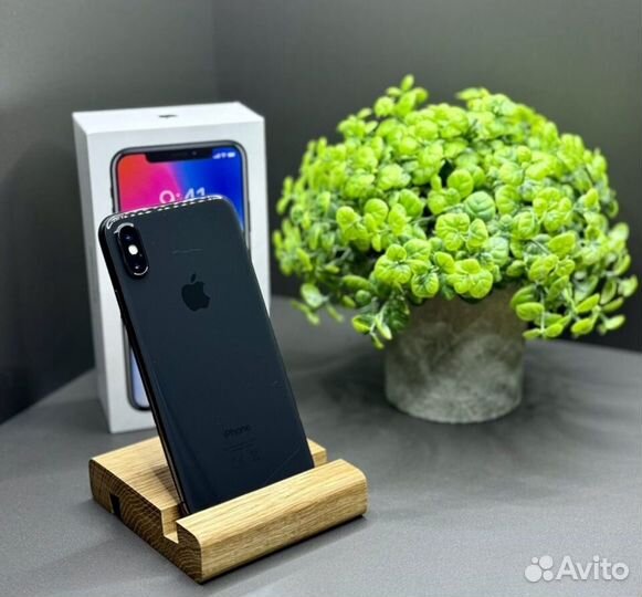iPhone X, 256 ГБ
