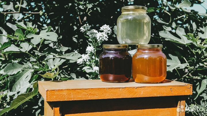 Мёд майский, каштан 2023, горная липа, плющ 2022