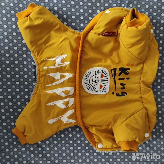 Одежда для маленьких собак