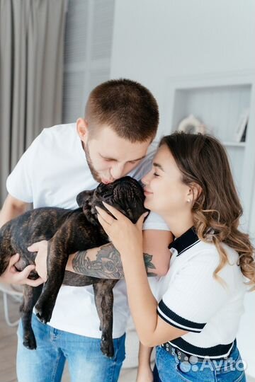 Фотограф / Фотосессия