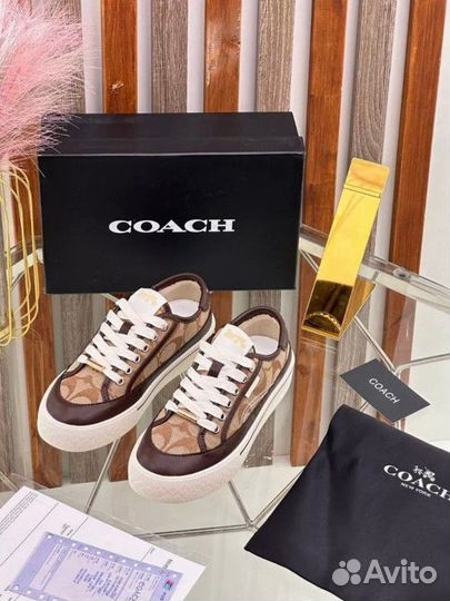 Кеды женские coach натуральная кожа