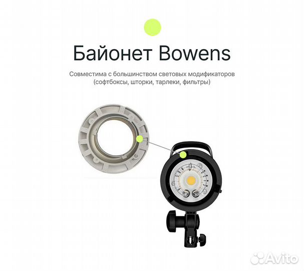 Вспышка студийная Raylab Rossa RS-300