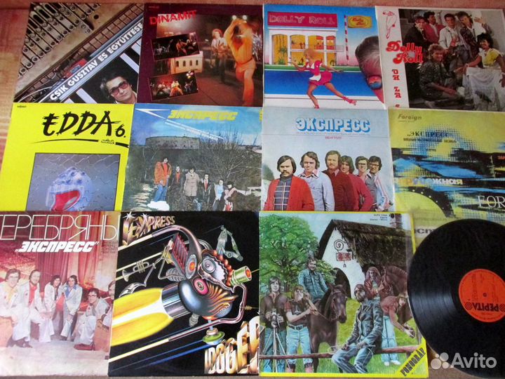 Виниловая коллекция демократов-Венгрия