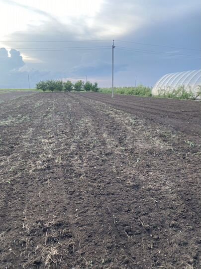 Участок 20 сот. (СНТ, ДНП)