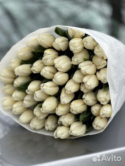 Тюльпаны / Букет из тюльпанов / 21, 31, 51