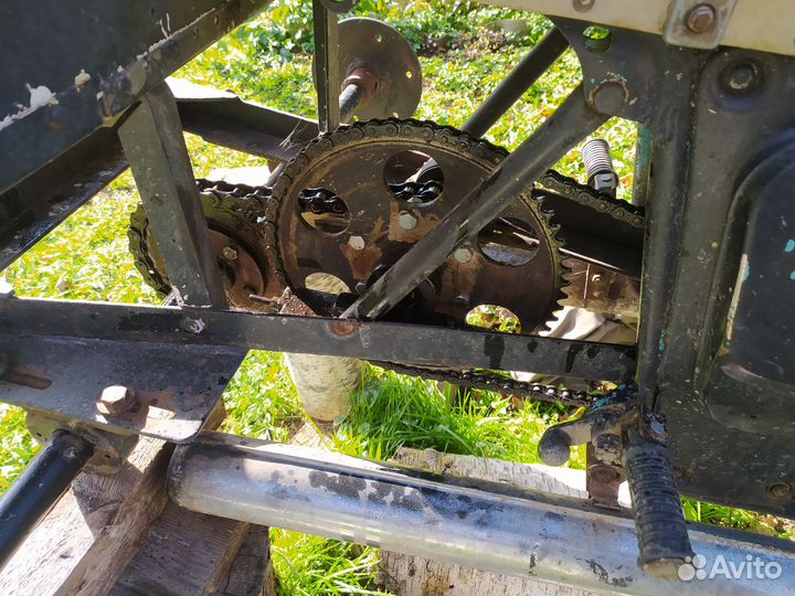 Каракат болотохот кишкотряс