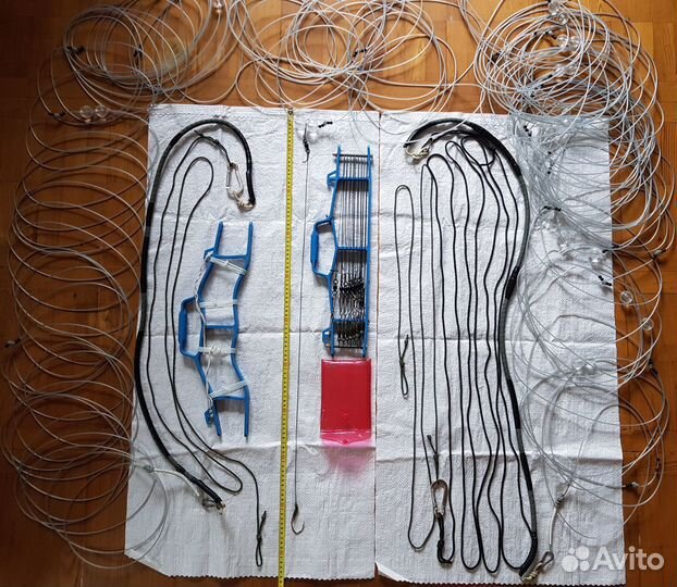 Донка на сома