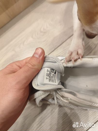 Кроссовки Lacoste оригинал