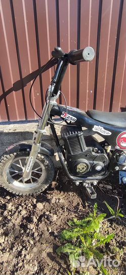 Burromax mini tt250