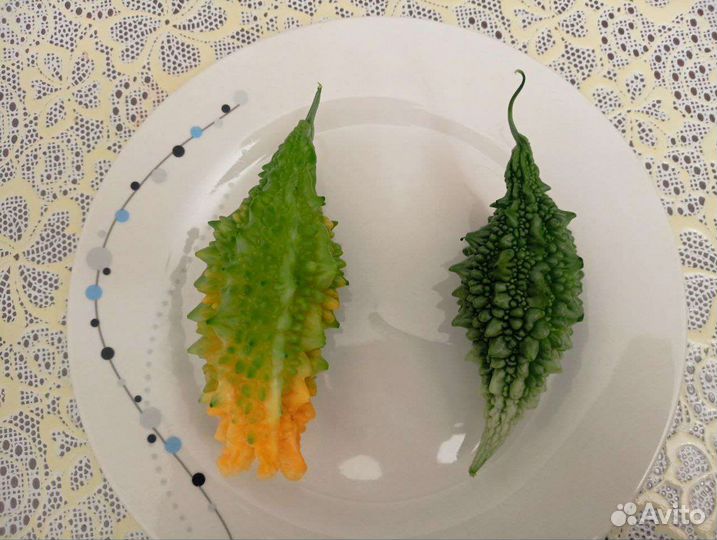 2 растения цветущей, плодоносящей Момордики