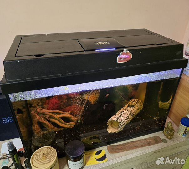 Аквариум 70л